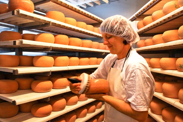 Creuzburger Käsemanufaktur